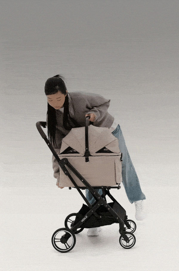 The Clementine Stroller (MW2)