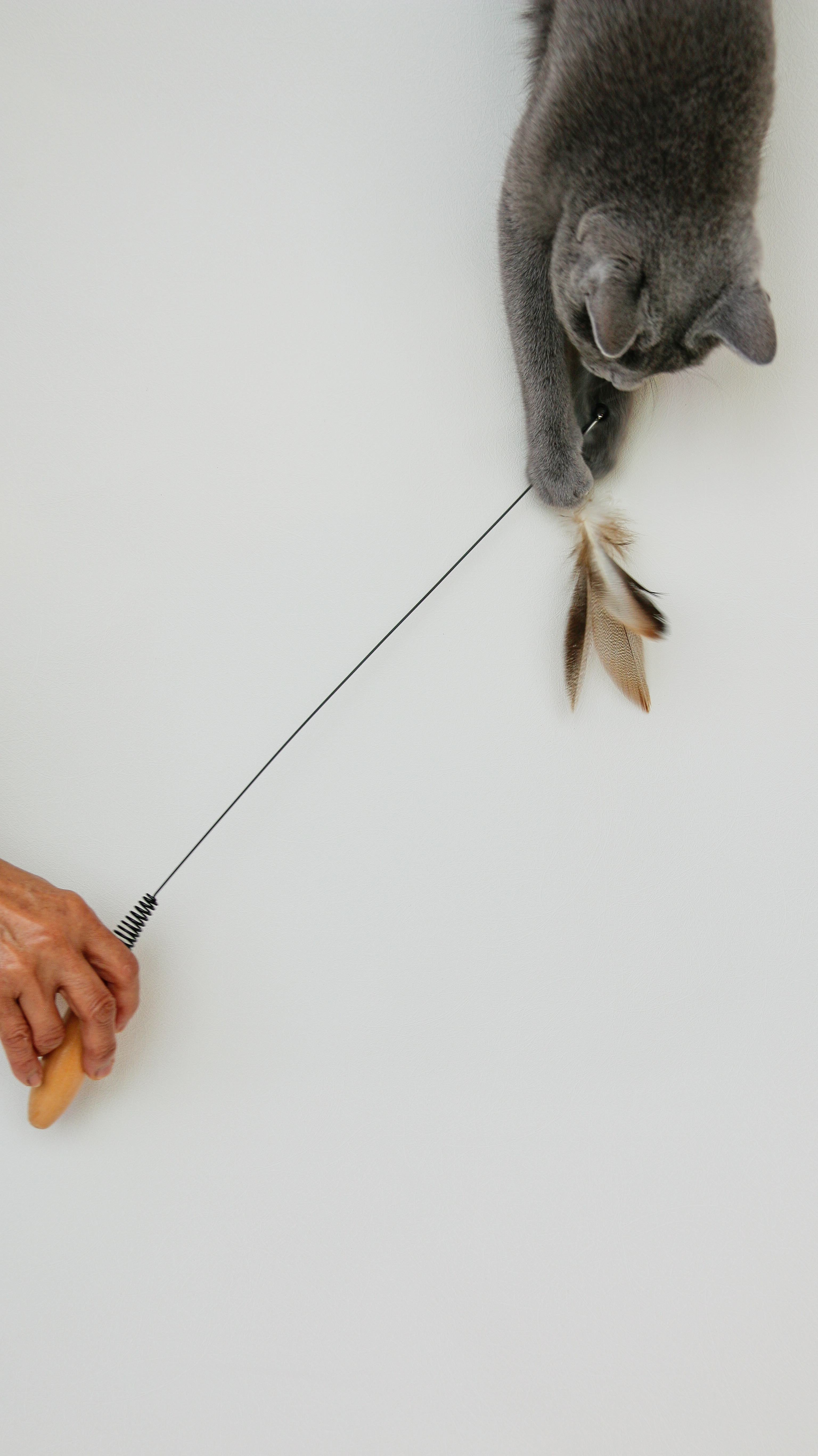 catさん　専用 Buy Urara - Small Cat Interior Goods Incense Burner & Holder