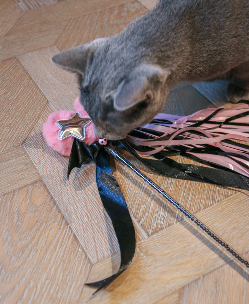 The Black Pink Teaser