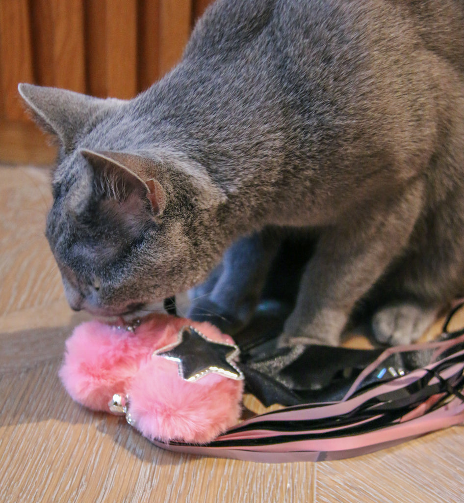 The Black Pink Teaser