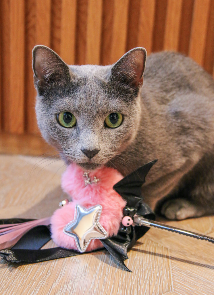 The Black Pink Teaser