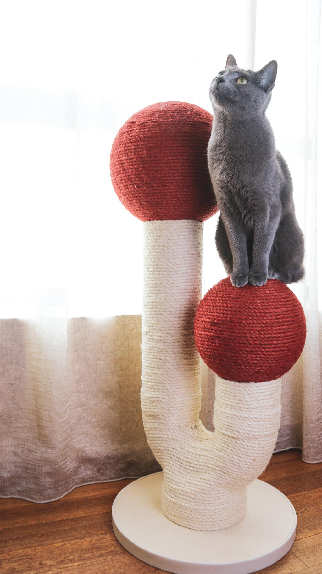 The Maple (Autumn Red)