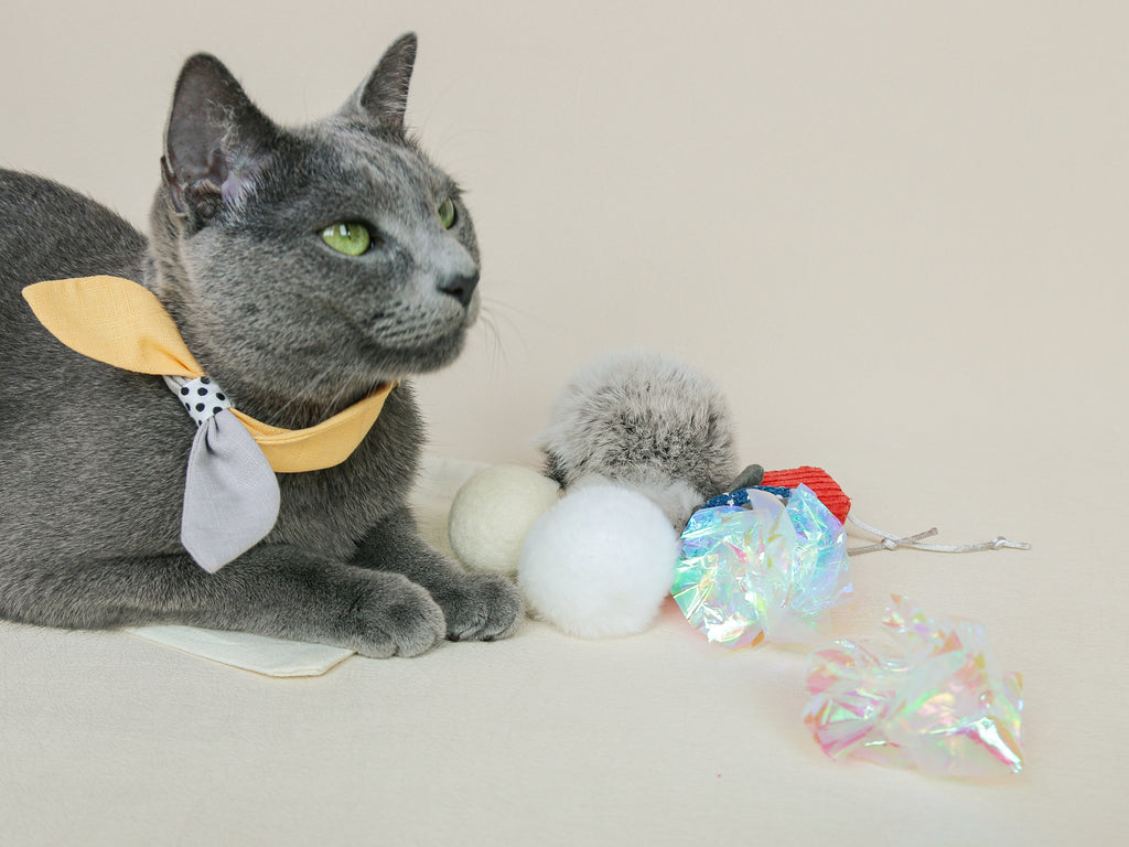 Ume's Favourite Things Toy Kit