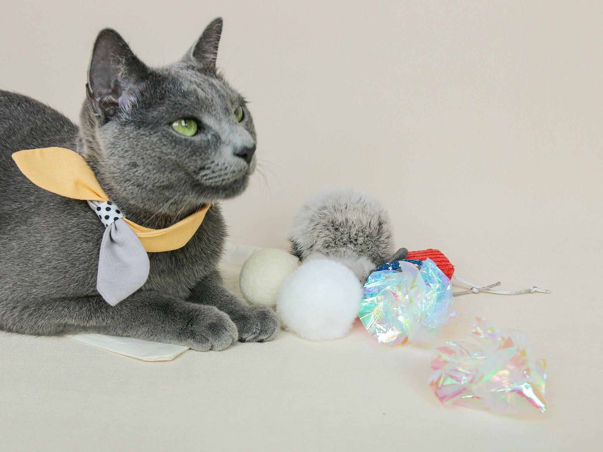 Ume's Favourite Things Toy Kit