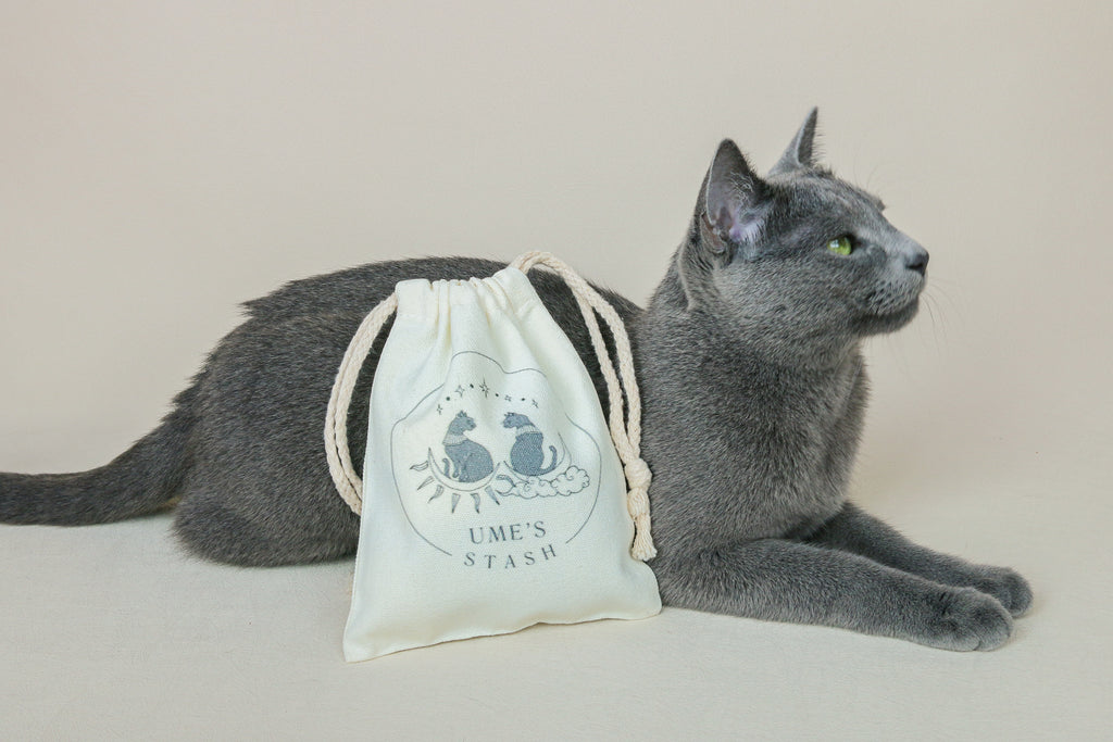 Ume's Favourite Things Toy Kit