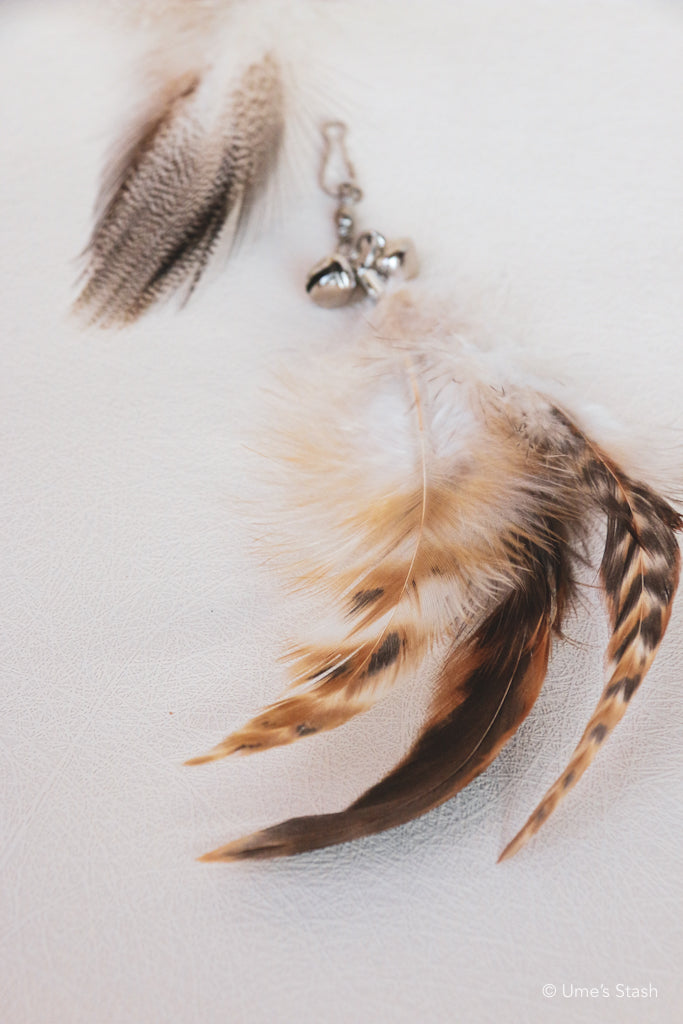 The Phoenix Feathers