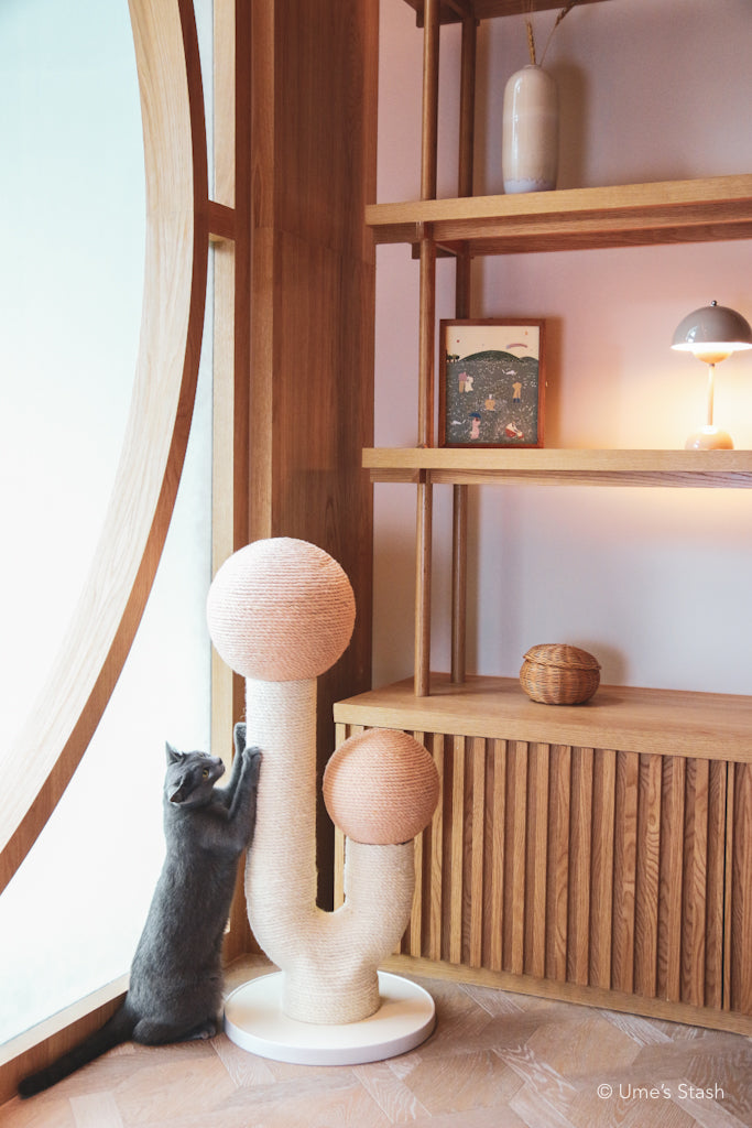 The Maple (Spring Pink)