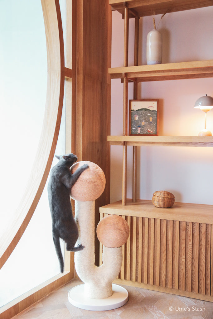 The Maple (Spring Pink)