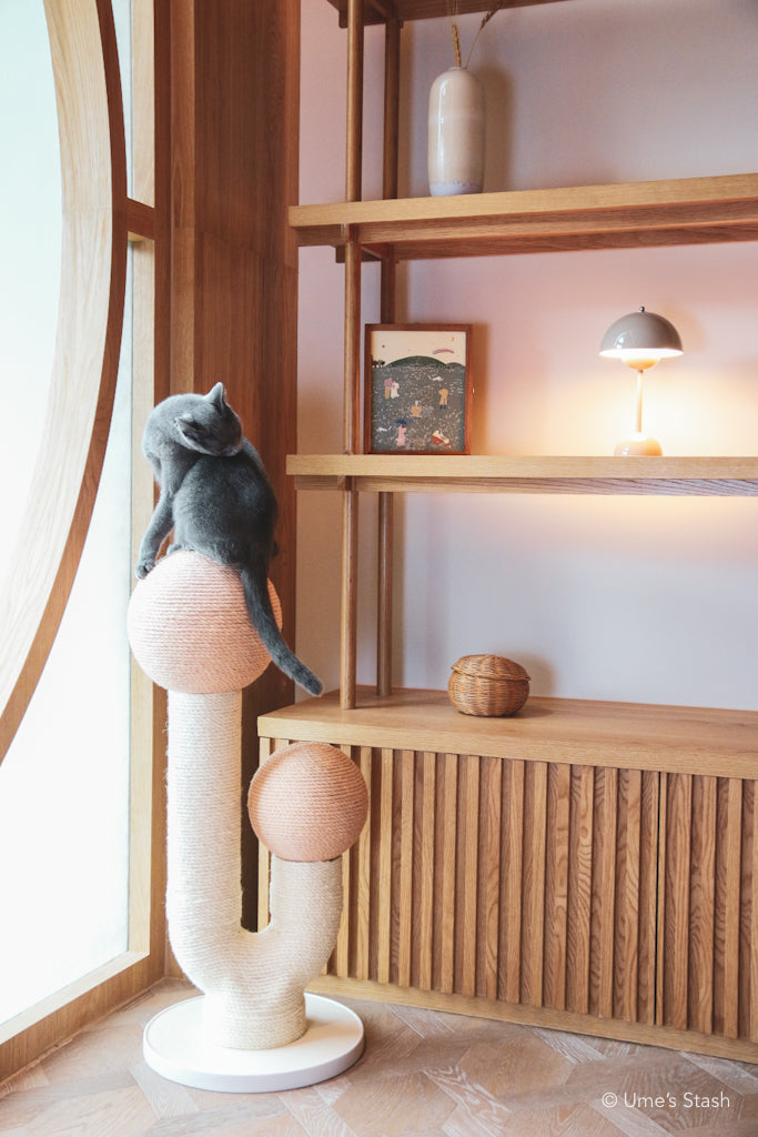 The Maple (Spring Pink)