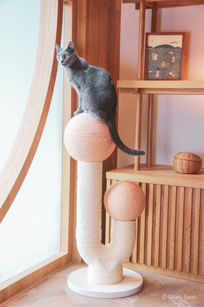 The Maple (Spring Pink)