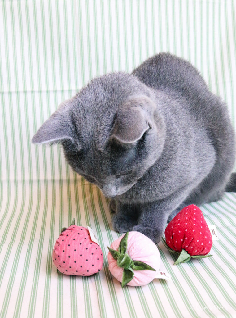 The Strawberries