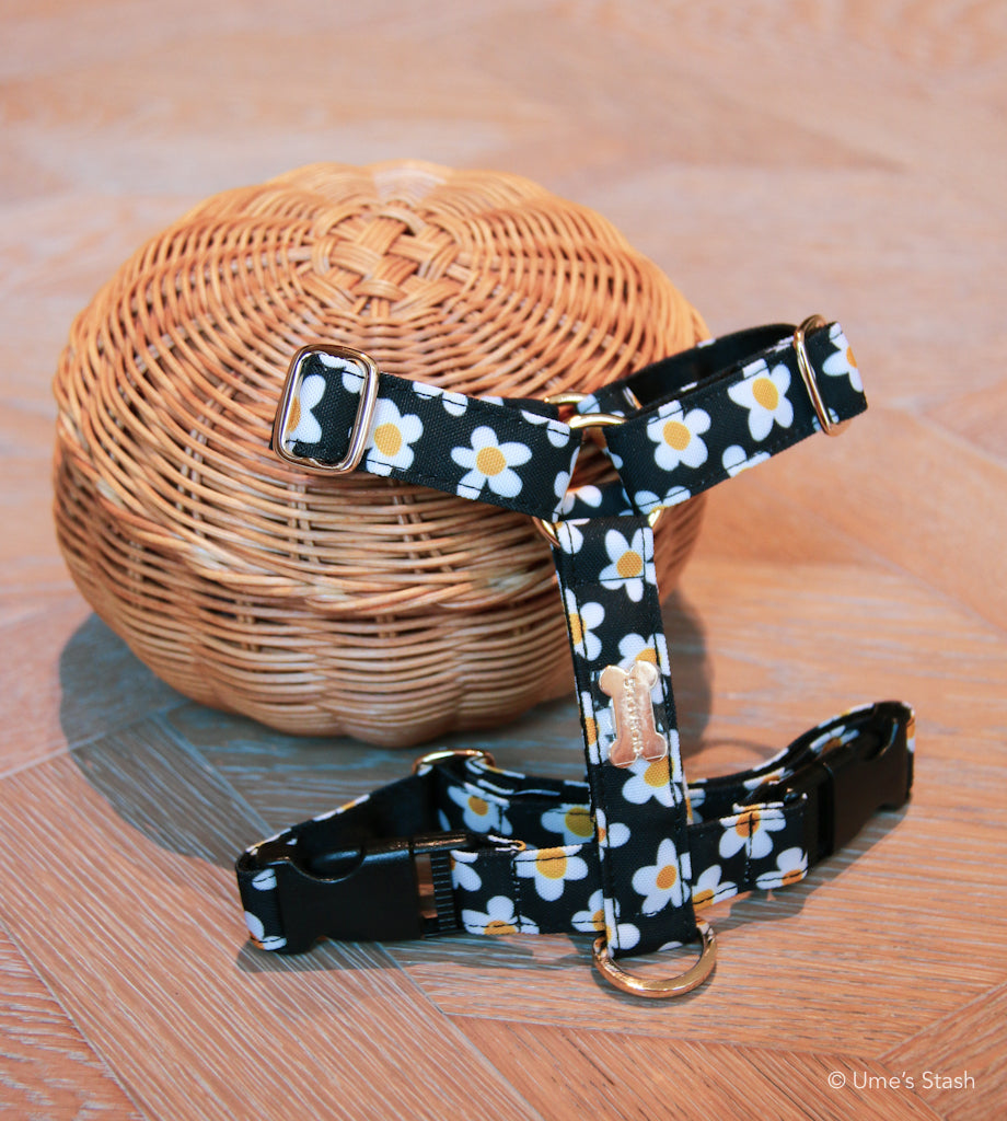 The Daisy Harness