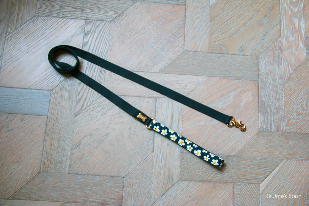 The Daisy Leash