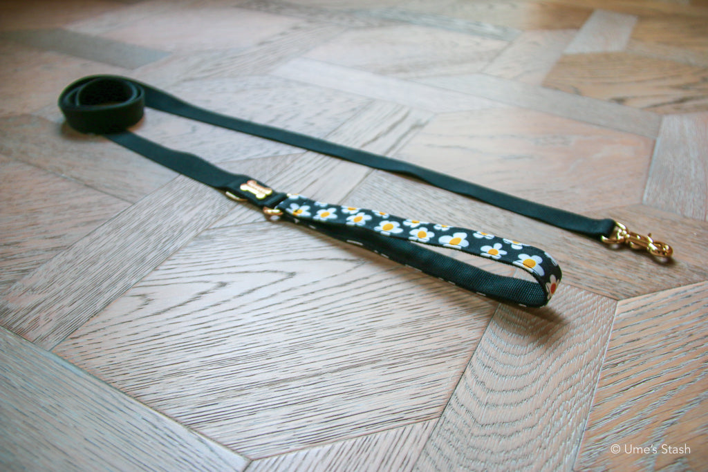 The Daisy Leash