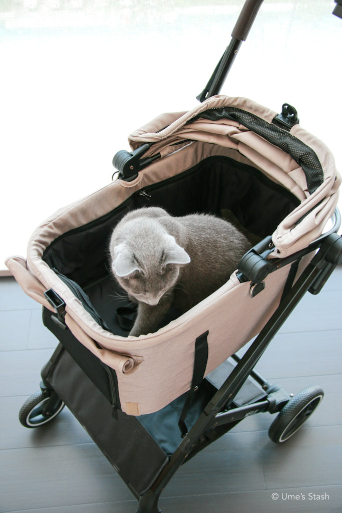 The Clementine Stroller (MW2)