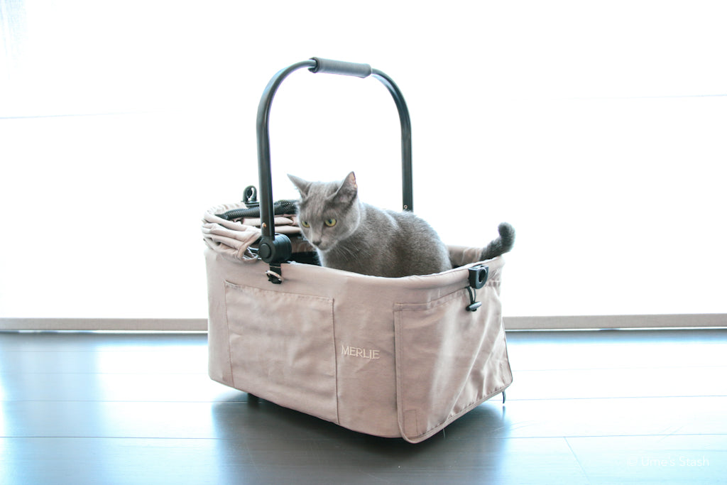 The Clementine Stroller (MW2)