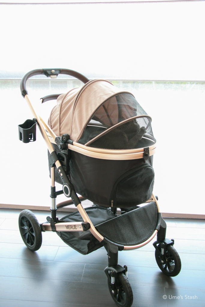 The Pumpkin Stroller (MW5)