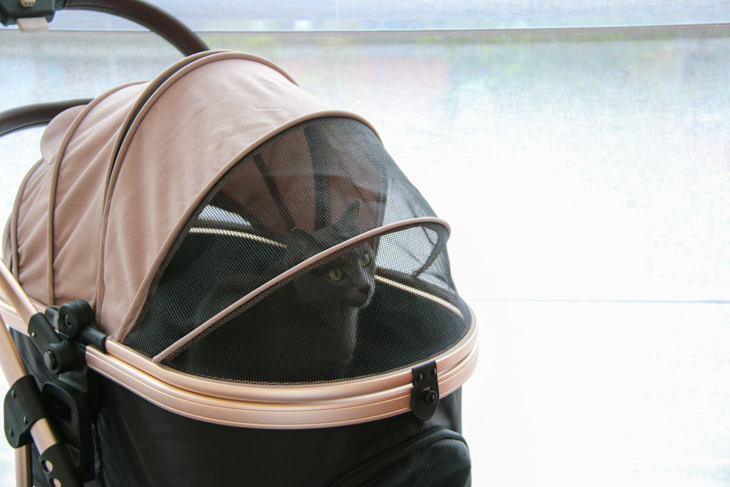 The Pumpkin Stroller (MW5)