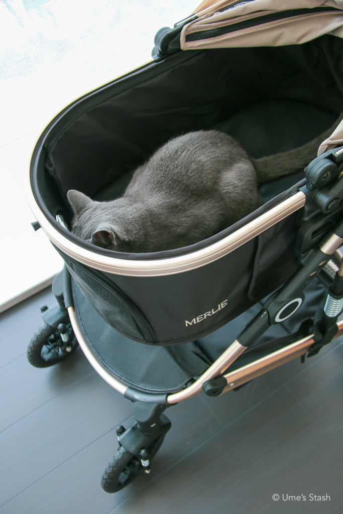 The Pumpkin Stroller (MW5)