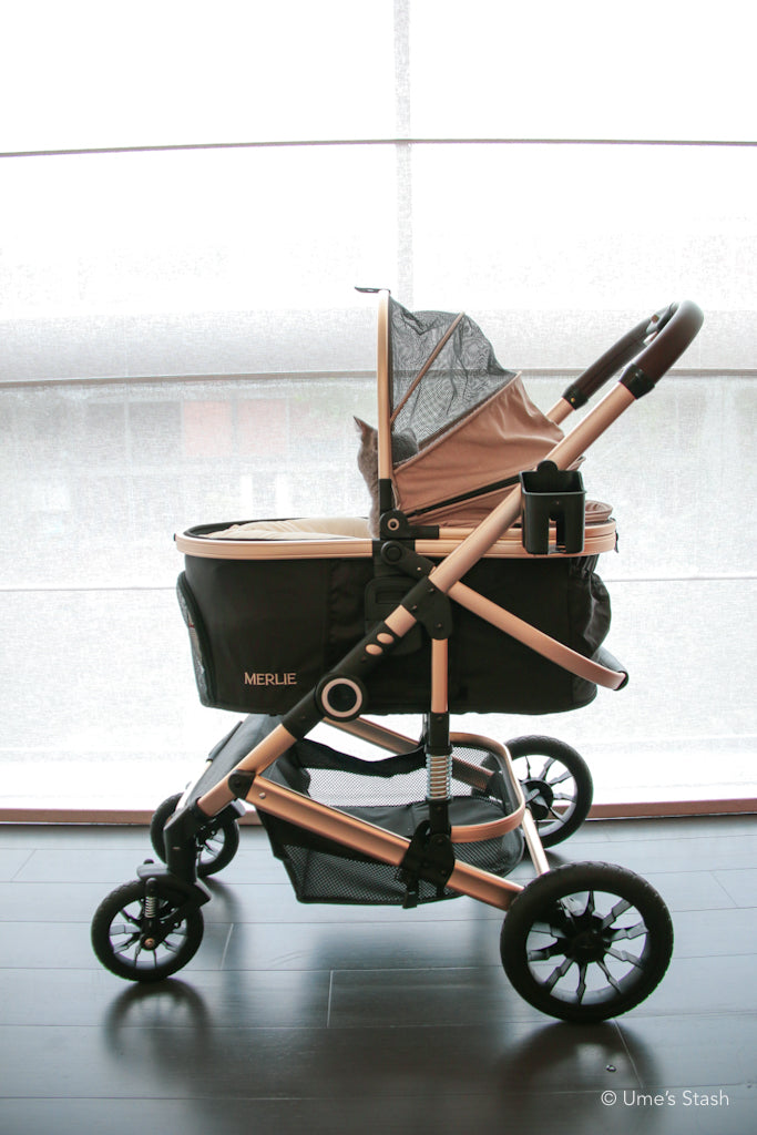 The Pumpkin Stroller (MW5)