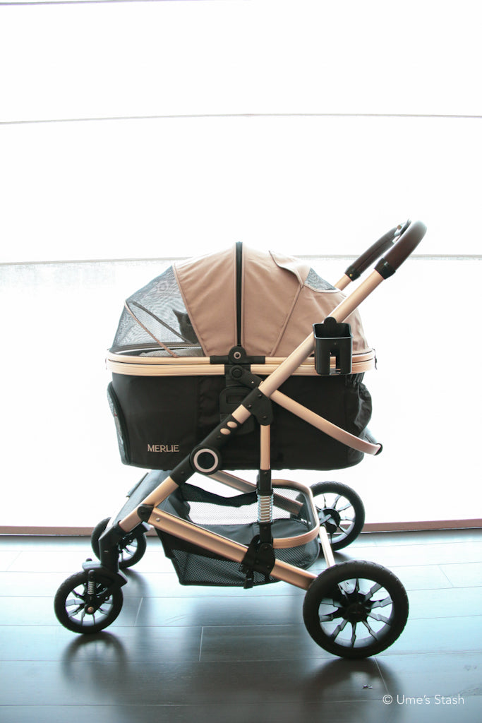 The Pumpkin Stroller (MW5)