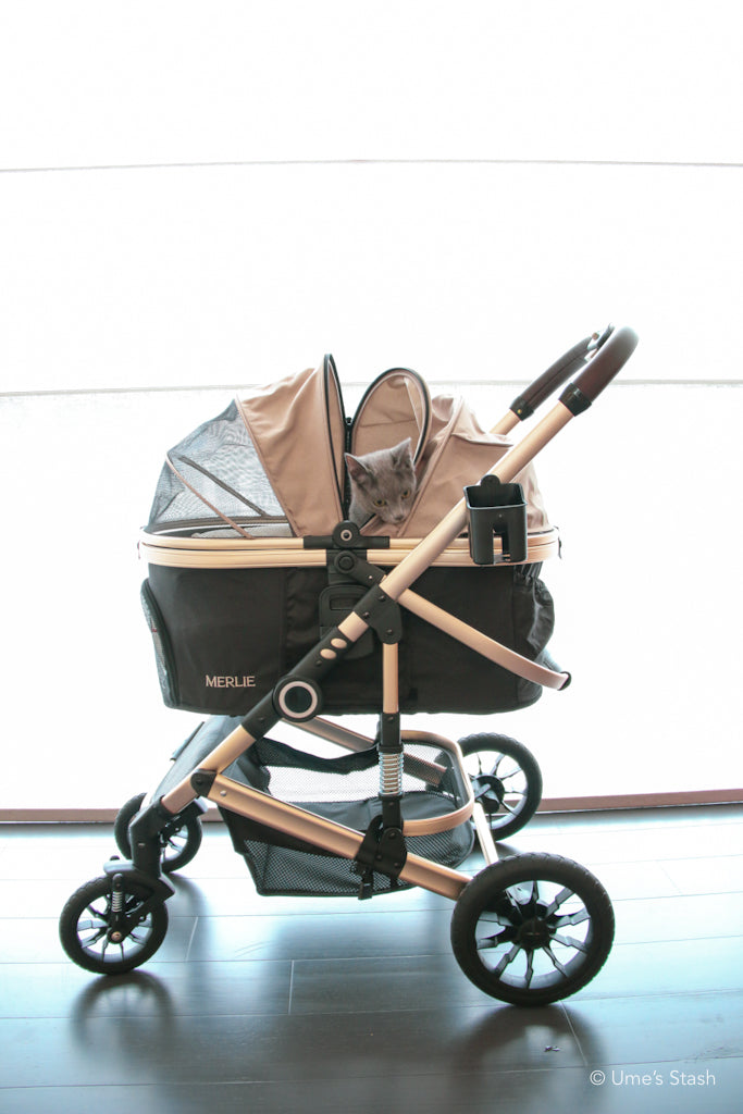 The Pumpkin Stroller (MW5)