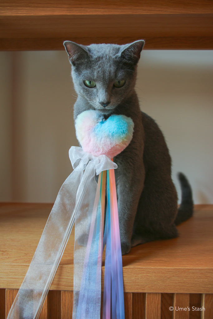 The Rainbow Heart Teaser