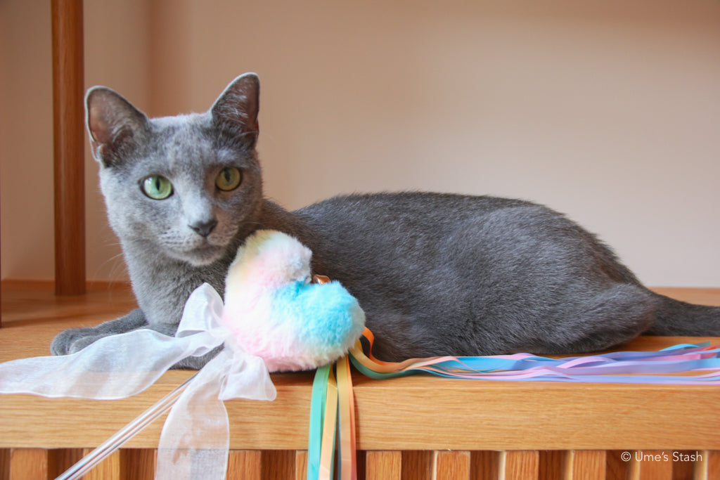 The Rainbow Heart Teaser