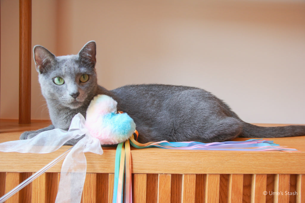 The Rainbow Heart Teaser