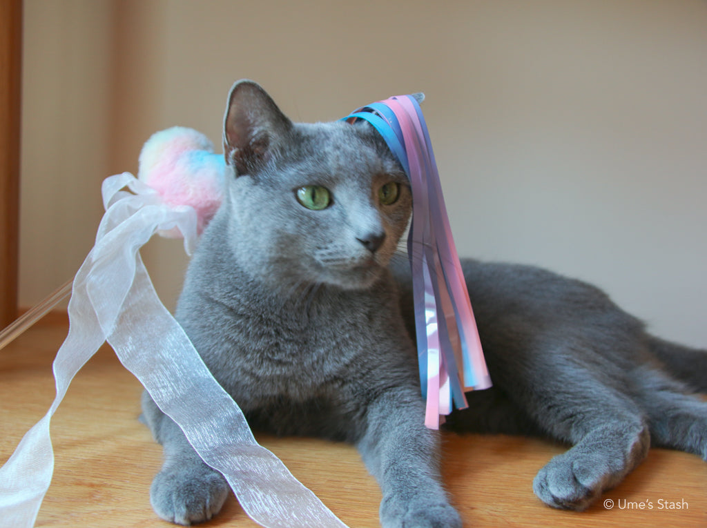 The Rainbow Heart Teaser