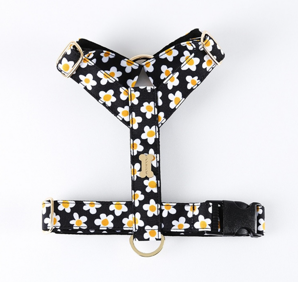 The Daisy Harness
