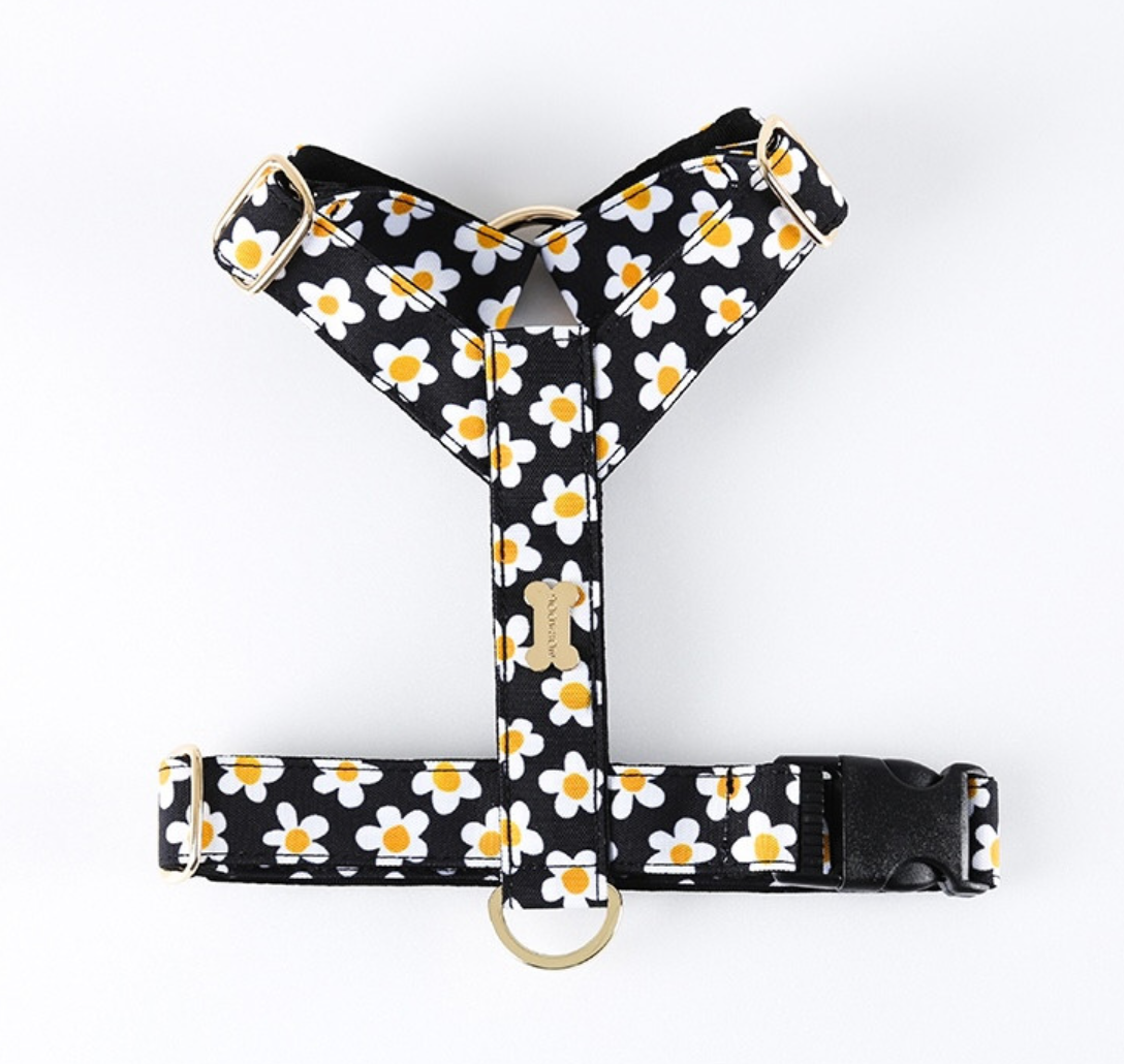 The Daisy Harness