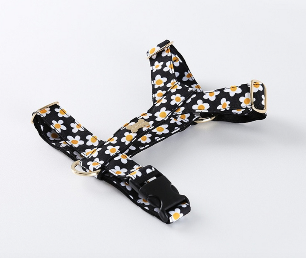 The Daisy Harness