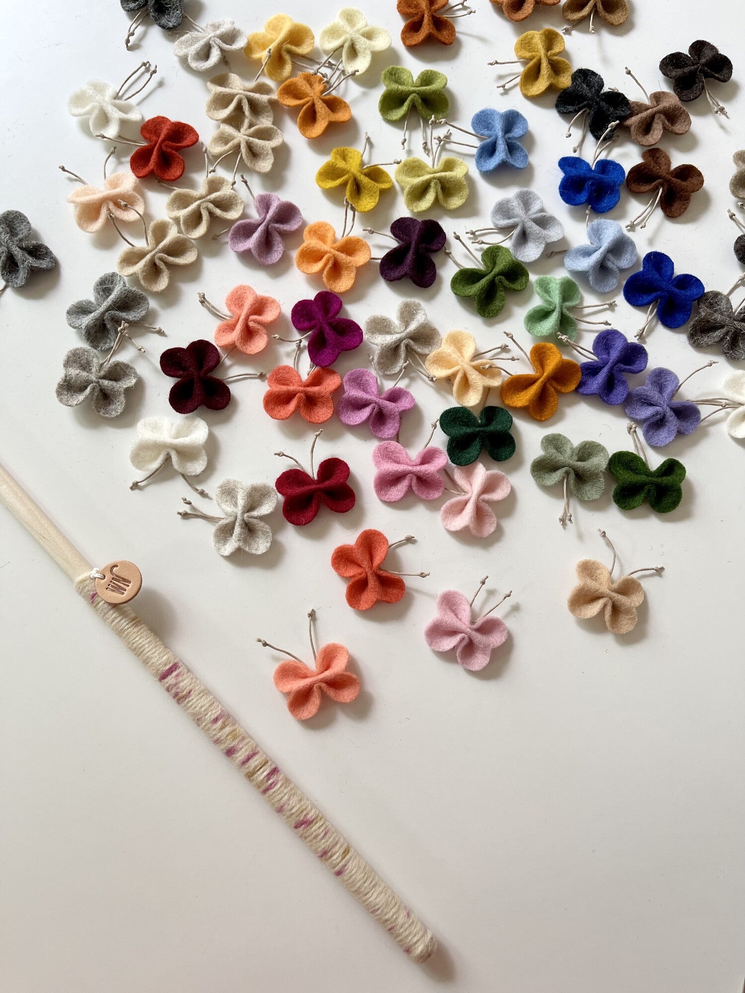 The Butterflies Teaser